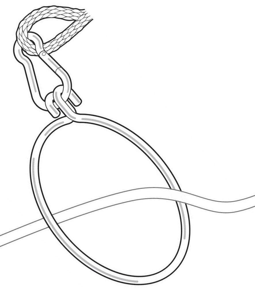 anchor-ring-illustration12.jpg